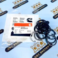 3920691 Стопорные кольца поршня Cummins B серия