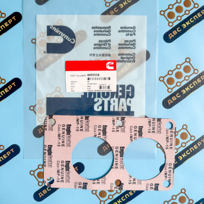 4095558 Прокладка корпуса термостатов Cummins QSK23