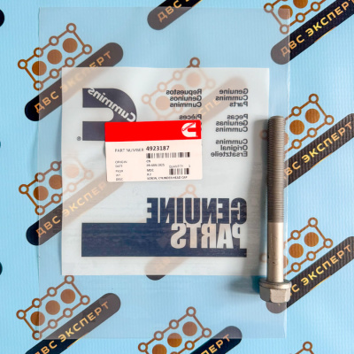 4923187 Болт крепления гбц Cummins QSM11