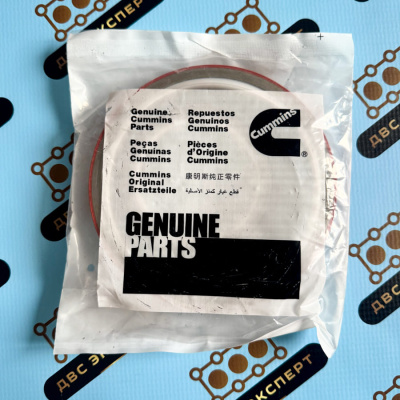 3800343 Комплект прокладок низ Cummins C8.3