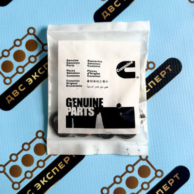 3800343 Комплект прокладок низ Cummins C8.3