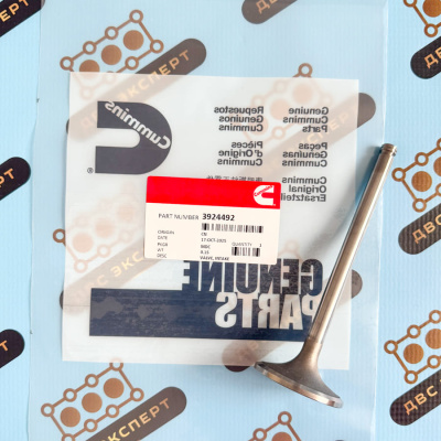 3924492 Клапан впускной Cummins C8.3