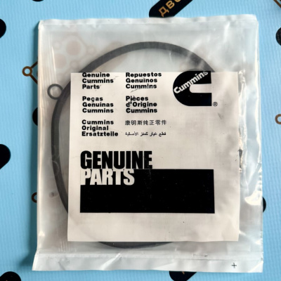 3800343 Комплект прокладок низ Cummins C8.3