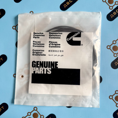 3800343 Комплект прокладок низ Cummins C8.3