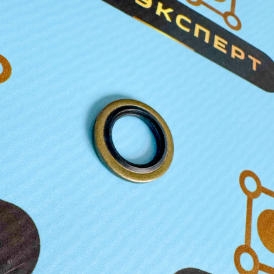 3918192 Шайба Cummins QSK23